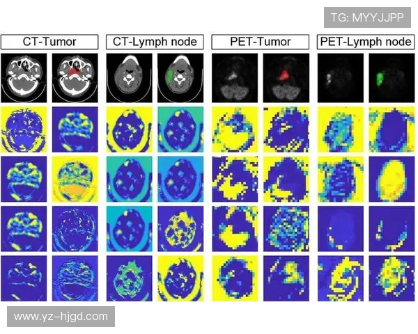 南京极限运动队配合表现的深度数据分析与团队协作研究 南京极限运动队配合表现的深度数据分析与团队协作研究