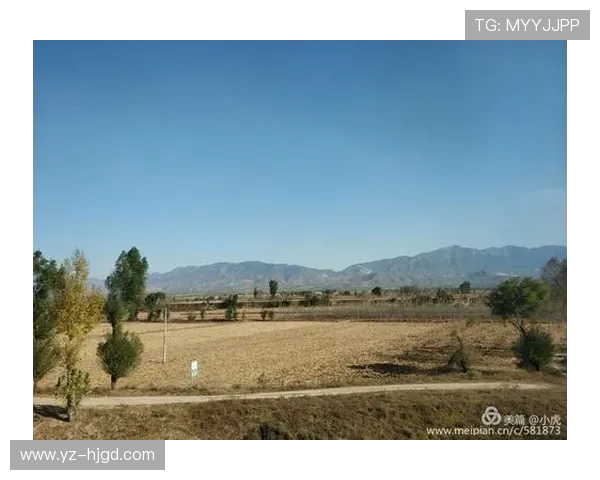 斯通斯的传奇之旅探寻摇滚乐的灵魂与历史的交汇