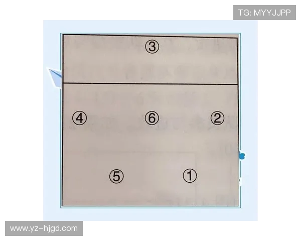 从零开始掌握排球节奏技巧全方位攻略与实战经验分享