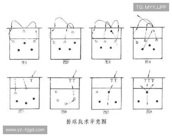 北京排球队整体压制战术解析与比赛表现的深度剖析 北京排球队整体压制战术解析与比赛表现的深度剖析